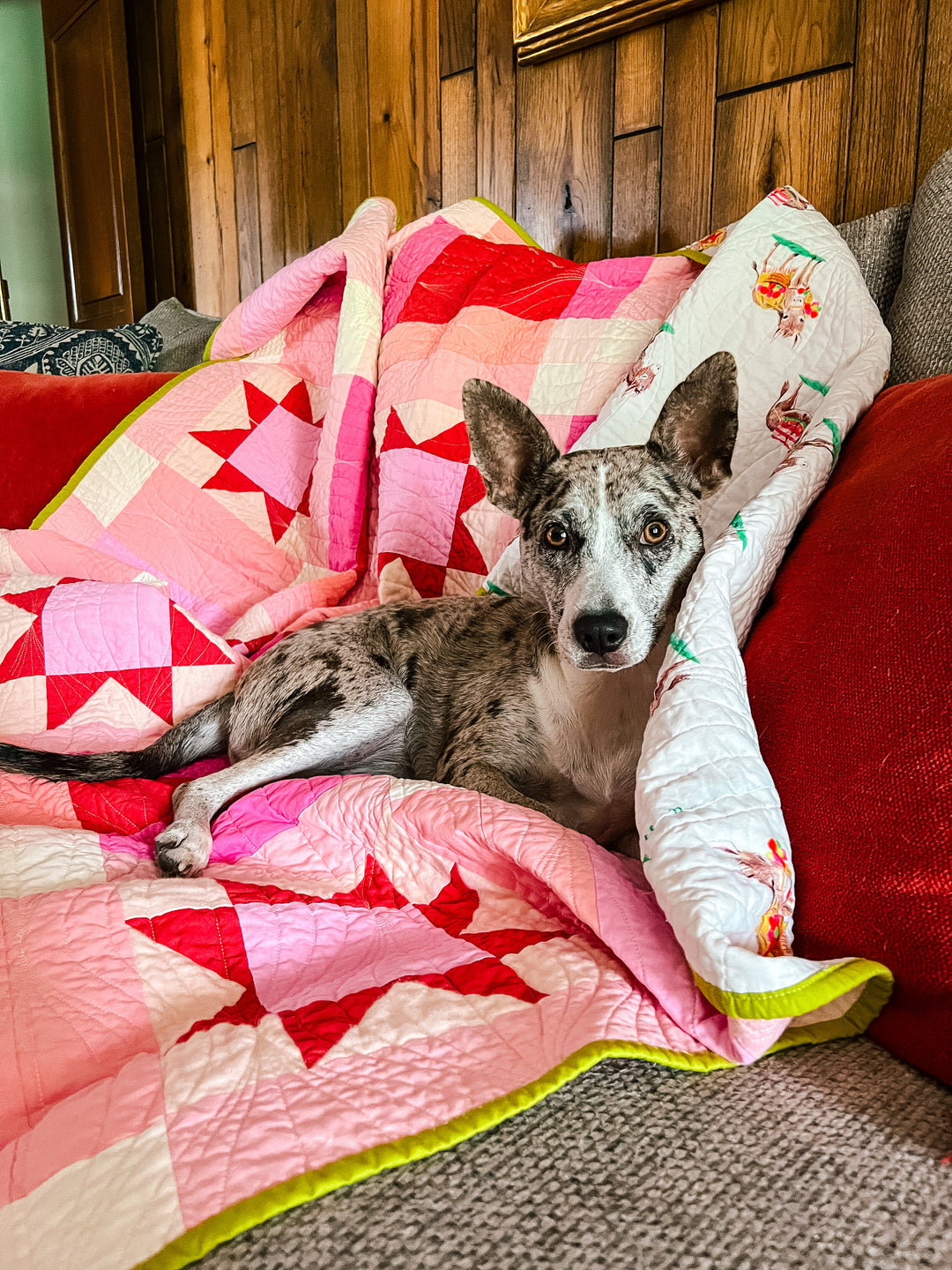 Marnie Quilt Pattern